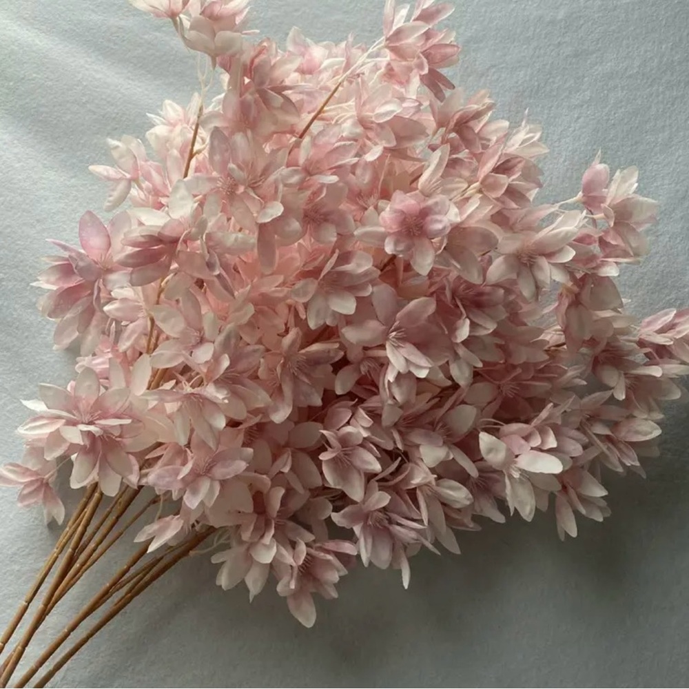 Cherry blossom branches